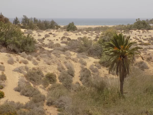 Gran Canaria
